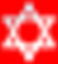 Magen David Adom