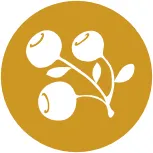 EilaLife