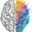 Naked Brain