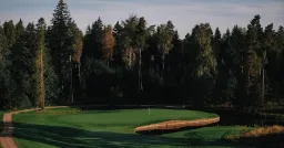 PGC Forest