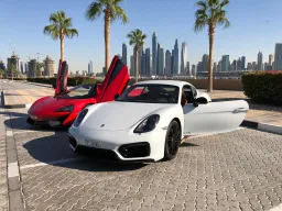 EASY GO Car Export