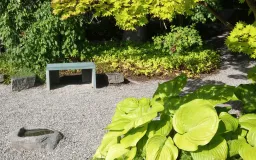 Pihatiikeri