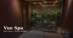 Vue Spa Tecom