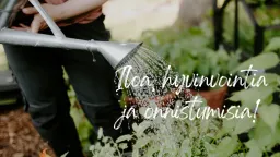 Pihailo