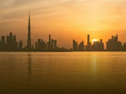 Nestr.ae