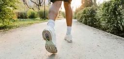 Fixifootil