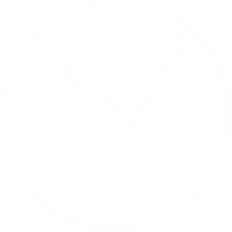 Yaeli Pilates