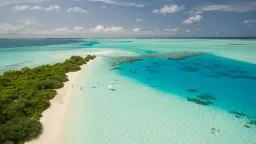 New Wave Travel