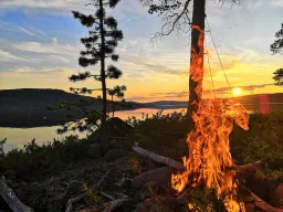 Remes.fi