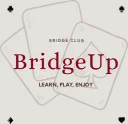 BridgeUp