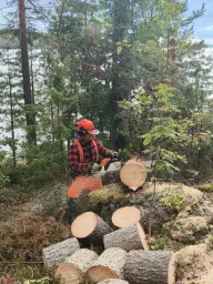 Puukaato.fi