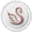 Swan Beauty