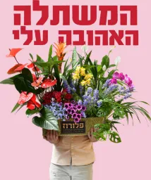 Floroz