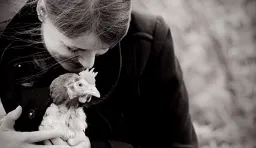 Animalia