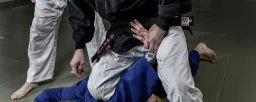 Va-jutsu ry