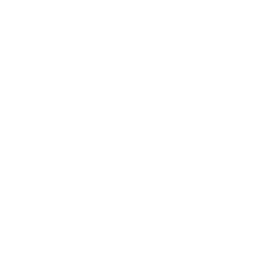 Fat Lizard kattoterassi