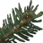 Kuusipalvelu
