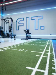 FIT