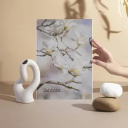 Viimeinen tahto