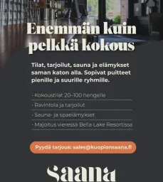 Kuopion Saana