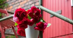 Juhlastudio Red Door