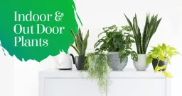 Plantsworld