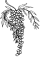 Ravintola Pink Pepper