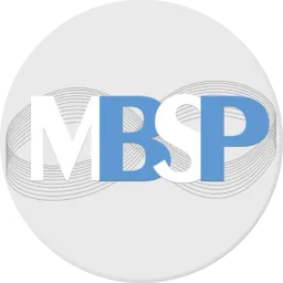 Maplezs Project Management Services