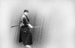 Budoviikingit - Iaido