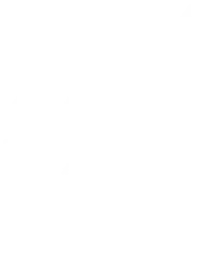 Shankar Trading Company LLC