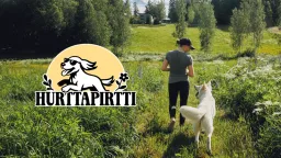 Hurttapirtti