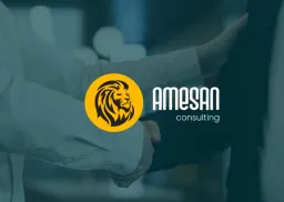 Amesan Consulting Oy
