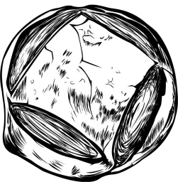 Wild Bread
