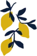 Agio
