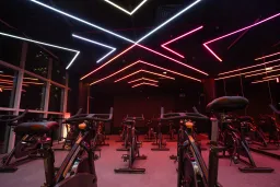 Red Gym