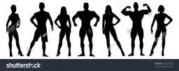 Barbell gym & fitness uae