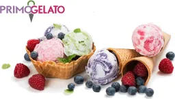 Primo Gelato