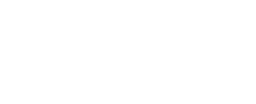 ACE Consulting Oy