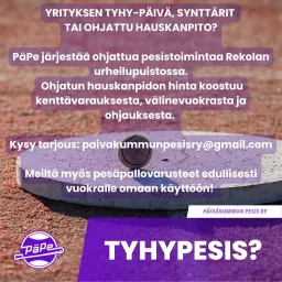 Päiväkummun Pesis ry
