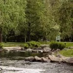 Mielen Voima ry