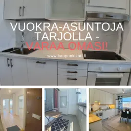 Kaupunkikoti