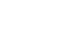 Scanmycar