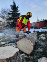 Tapanila Timber Service Oy