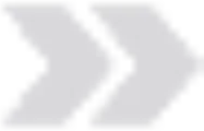 ST-Trans