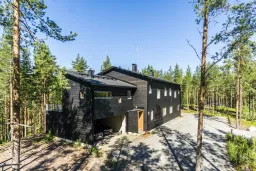 Koliroyal
