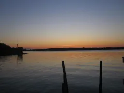 Ruisranta