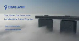 Trustlance Engineering Consultant