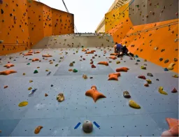 The Wall Climbing Gym