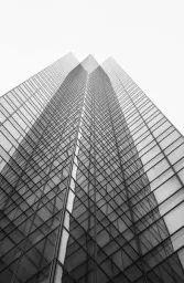 MNV Associates