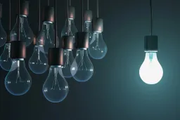 Avid Intellectual Property